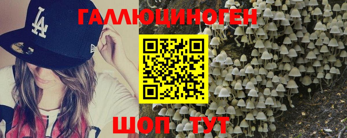 Уссурийск  Галлюциногенные грибы Cubensis  как найти наркотики  Вход с VPN 